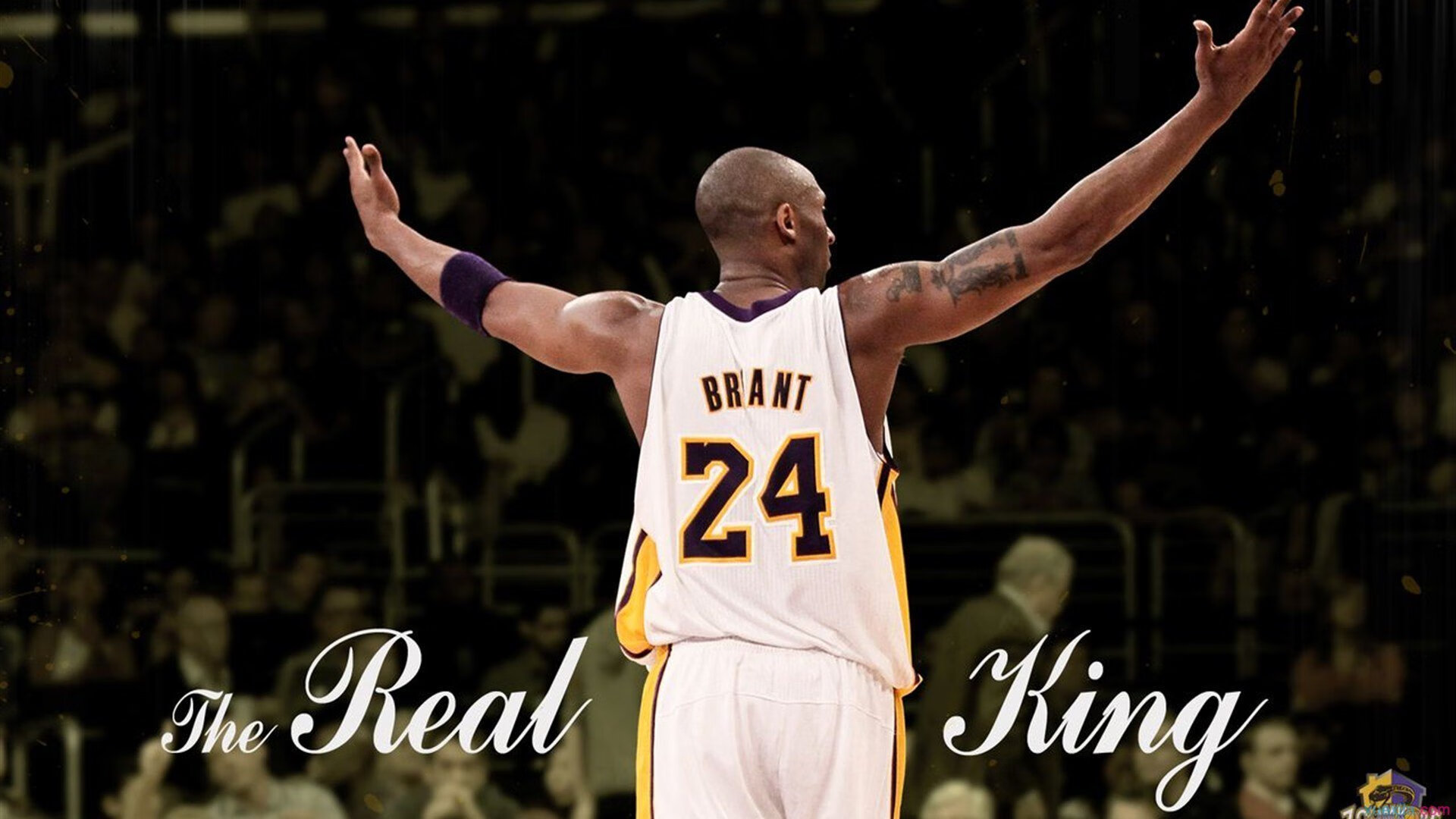 掘金带队取胜！，Scout重要时刻爆冷赛场气氛高涨的简单介绍